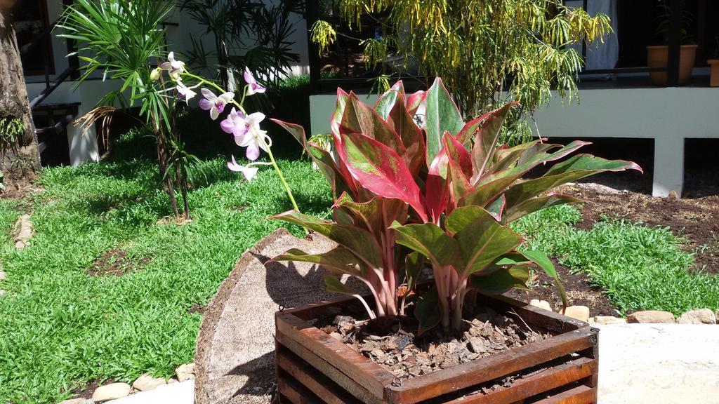 Lucky Gecko Garden Hotel เกาะช้าง ภายนอก รูปภาพ